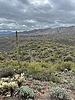 photo thumbnail #3