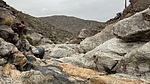 photo thumbnail #2