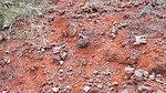 photo thumbnail #6