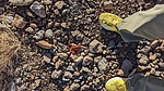 photo thumbnail #3
