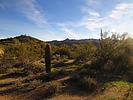 photo thumbnail #7