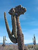 photo thumbnail #4
