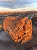 photo thumbnail #7