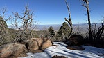 photo thumbnail #2