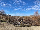 photo thumbnail #3