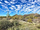 photo thumbnail #7