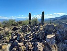 photo thumbnail #15