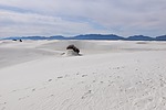 photo thumbnail #2