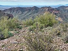 photo thumbnail #5
