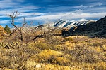 photo thumbnail #6