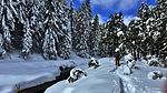 photo thumbnail #11