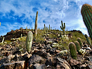 photo thumbnail #10