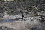 photo thumbnail #4