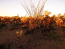 photo thumbnail #1