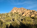 photo thumbnail #3