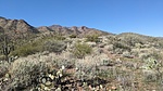 photo thumbnail #3