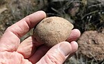 photo thumbnail #7