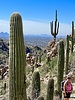 photo thumbnail #11