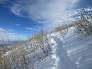 photo thumbnail #7