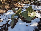 photo thumbnail #7
