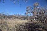 photo thumbnail #6