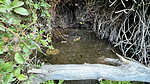 photo thumbnail #14