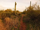 photo thumbnail #4