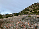 photo thumbnail #1