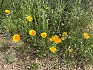 photo thumbnail #12