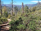 photo thumbnail #9