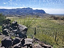 photo thumbnail #13