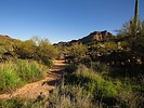 photo thumbnail #6