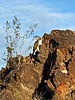 photo thumbnail #3