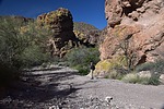 photo thumbnail #6
