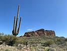 photo thumbnail #2