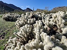 photo thumbnail #14