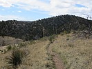 photo thumbnail #5