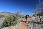 photo thumbnail #3