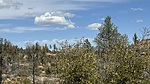 photo thumbnail #9