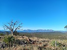 photo thumbnail #3