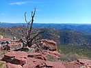 photo thumbnail #7