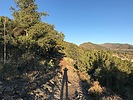 photo thumbnail #15