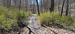photo thumbnail #5