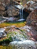 photo thumbnail #8