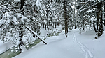 photo thumbnail #3