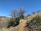 photo thumbnail #6