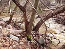 photo thumbnail #8