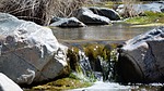 photo thumbnail #8