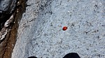 photo thumbnail #11