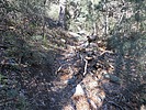 photo thumbnail #13